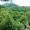 ���� ����, �������, 40 ��� - ��������� 12 ������ 2020