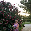 ���� ����, ���, 71 ��� - ��������� 26 ��� 2020 � ������ ���� ����������
