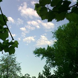 ����, �������, 58 ���