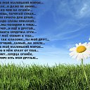 ���� ����, ������� - ��������� 8 ������ 2020 � ������ ������ ��������