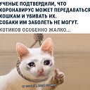  Swetlana, , 55  -  8  2020   
