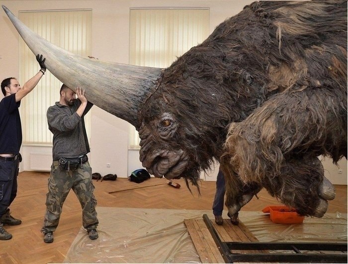 Bo   oo  o (Elasmotherium sibiricum) o  o ...