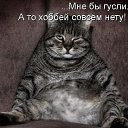 ���� ������, ������, 36 ��� - ��������� 19 ���� 2020 � ������ ���� ����������