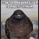 ���� ��� � �����, �������� - ��������� 28 ���� 2020 � ������ ������ ��������
