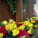 ���� �����, ���������, 53 ���� - ��������� 20 ����� 2020 � ������ ���� ����������