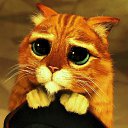 ���� Alex, ������� - ��������� 20 ��� 2020 � ������ ���� ����������