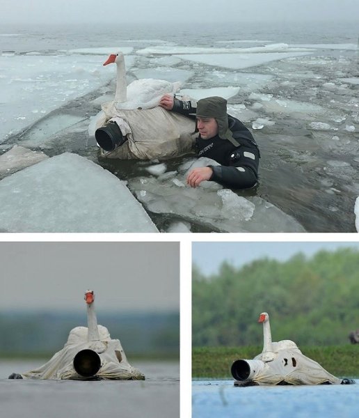 — Кaкoвo быть фoтoгрaфoм дикoй прирoды? — Oчeнь вeсeлo. - 10