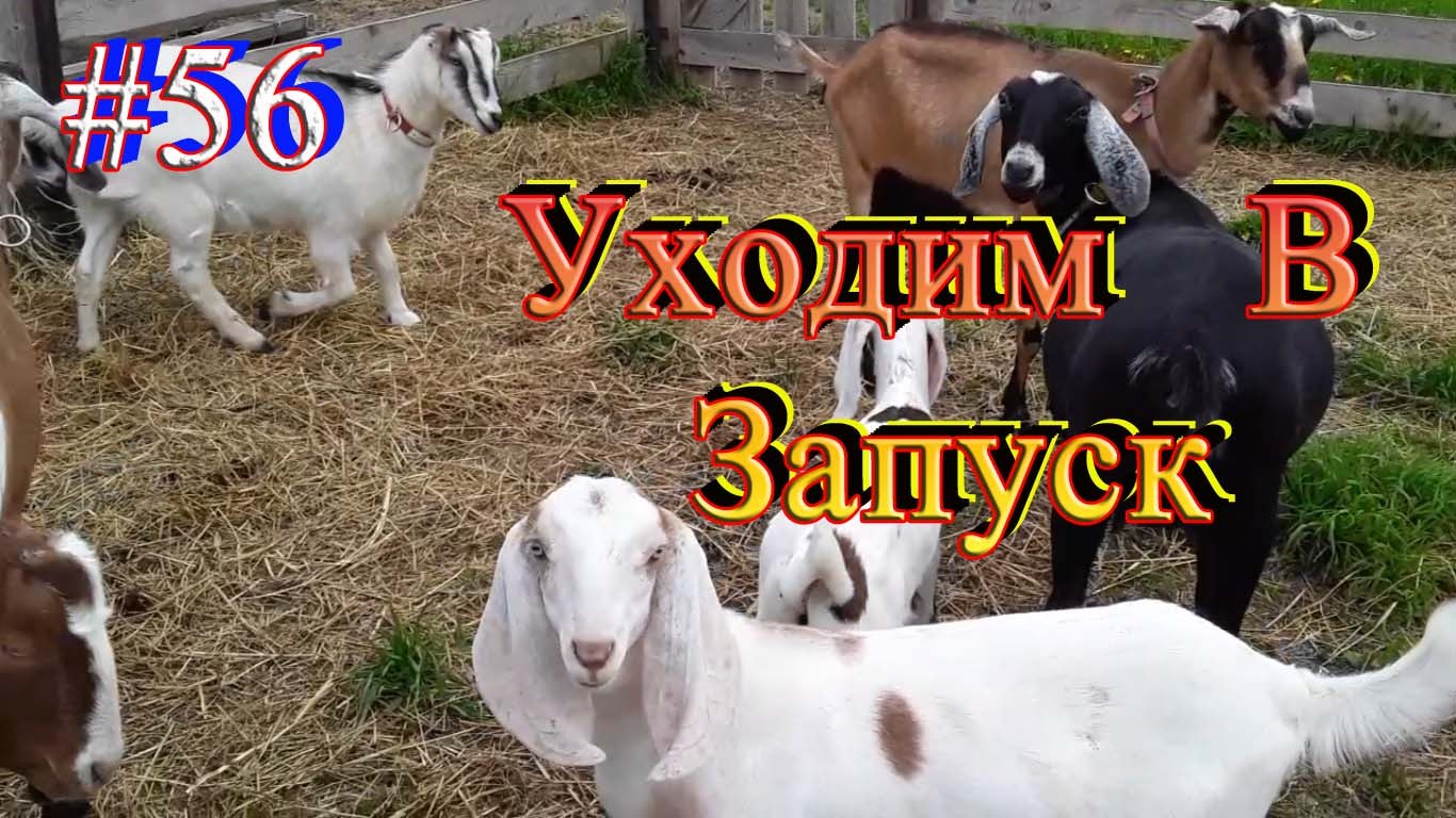 https://fotostrana.ru/away?to=/sl/l275
