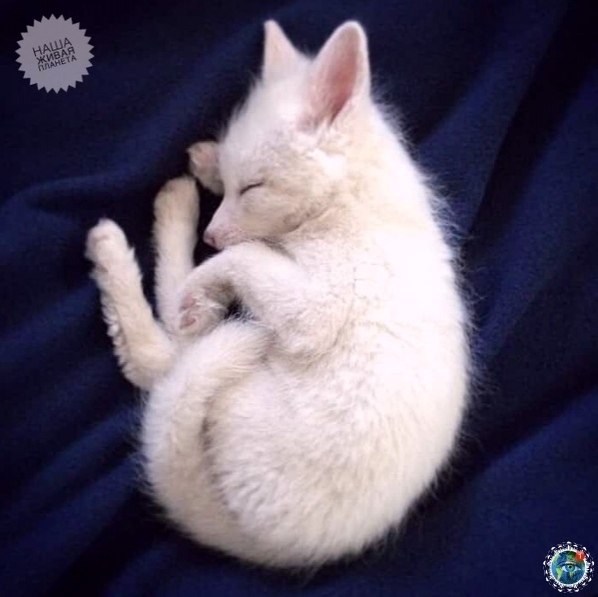 aoc! o Rylai - oo  aa . opc  opc c ... - 2