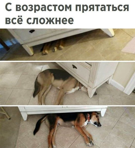 ������� - 8 ����� 2020 � 19:49