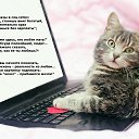 ���� �����, �����, 39 ��� - ��������� 5 ������ 2020 � ������ ������ ��������