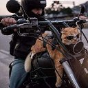 ���� Vladimir, �������, 50 ��� - ��������� 30 ��� 2020 � ������ ���� ����������