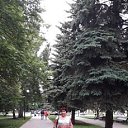 ���� ������, ������, 65 ��� - ��������� 8 ���� 2020 � ������ ���� ����������