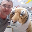 ���� ������, ��������, 42 ���� - ��������� 8 ���� 2020 � ������ ���� ����������