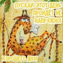 ���� ��������, �����-���������, 41 ��� - ��������� 19 ����� 2020
