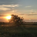���� �����, ������ - ��������� 11 ���� 2020 � ������ ���� ����������
