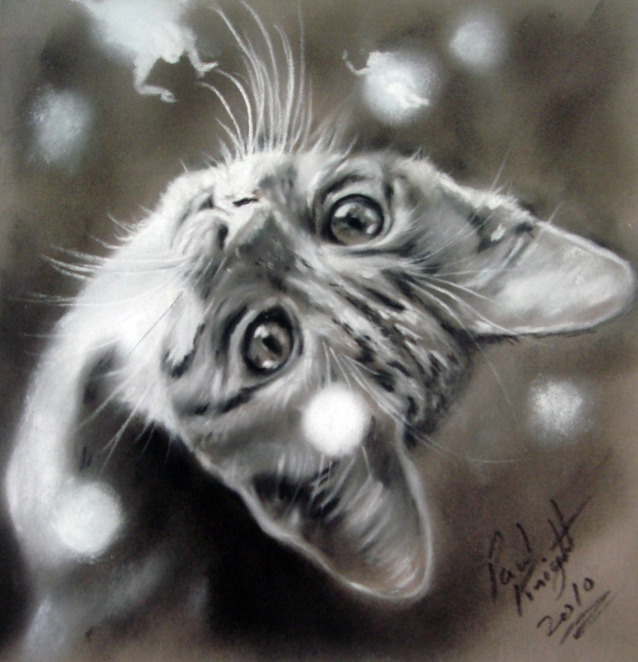     Paul Knight))) - 2