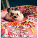 ���� �����, ������� �������� - ��������� 13 ���� 2020 � ������ ������ ��������