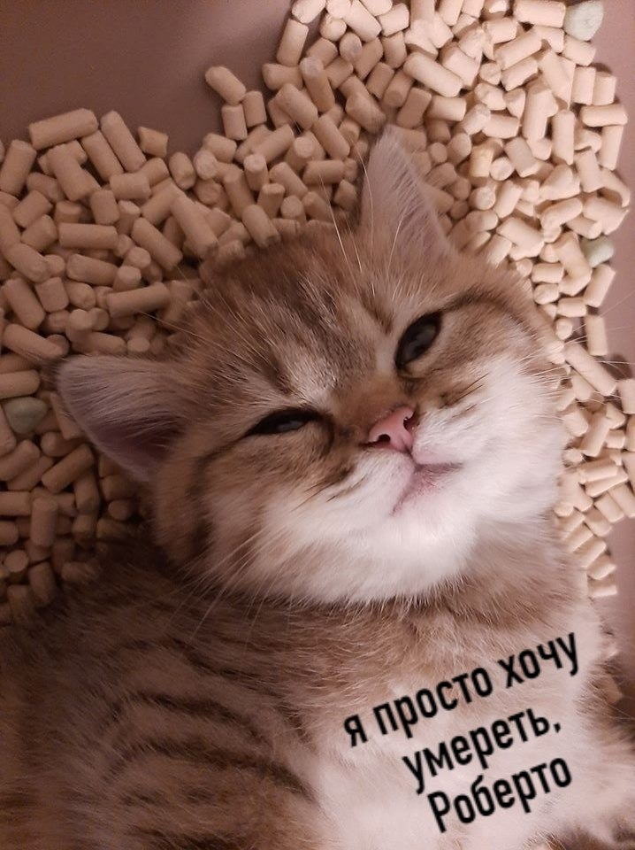 ,    - 5