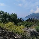 ,,  -,01.06.20. 11.30.    2020