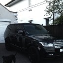 ���� �����, ������ ��������, 36 ��� - ��������� 19 ���� 2020 � ������ ���� ����������