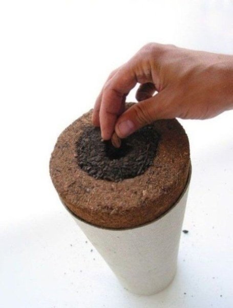 ypa pp  p  epeo. K  ? - 5