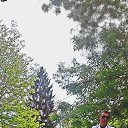 ���� �������, ������, 51 ��� - ��������� 17 ��� 2020 � ������ ���� ����������