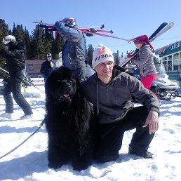 �����, ��������, 56 ���