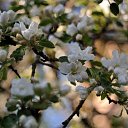 ���� ������, �������������-���������� - ��������� 1 ���� 2020 � ������ ����� ��� � ��� ���� ������...�