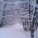 ���� ��������, ������, 57 ��� - ��������� 12 ������ 2020 � ������ ���� ����������