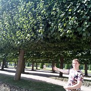 ����������, 34 ����, ������������