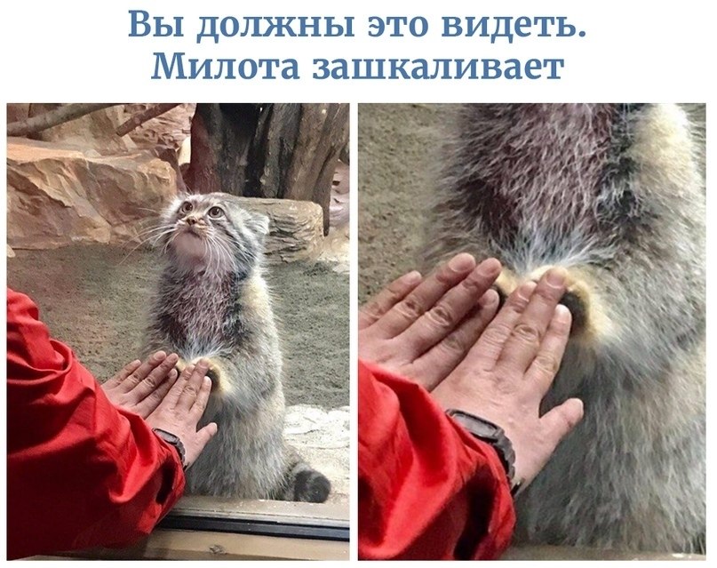  | ,  - 13  2020  19:06