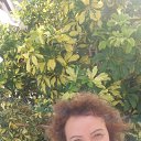 ���� �����, ������ - ��������� 15 ����� 2020 � ������ ���� ����������