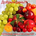 ���� ����, ������ - ��������� 15 ���� 2020 � ������ ������ ��������