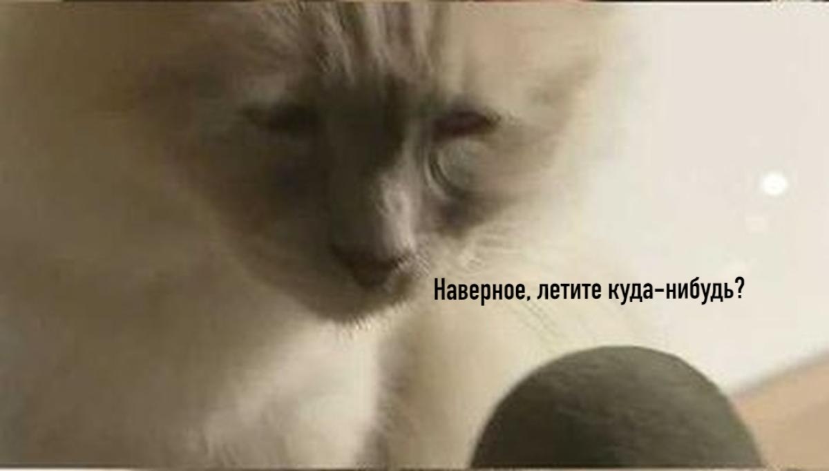       - 26  2020  20:18 - 2