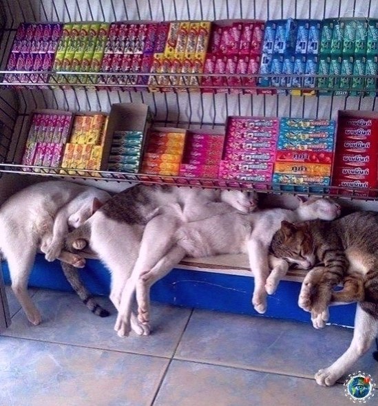  oeo eo oo o oo coco, o  a  o, co c, e    ... - 5
