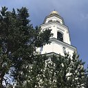 ���� ������, �����, 65 ��� - ��������� 14 ���� 2020 � ������ ��������� ������������� ������� ���������, ���� 2020�
