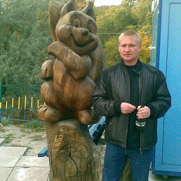 ����������, �����������, 44 ����