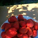 �������� �� ������� ������ ��������