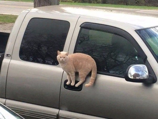      ?
