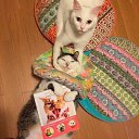 ���� ������, ���������, 57 ��� - ��������� 31 ������ 2020 � ������ ���� ����������