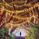 ���� Olga, ����������� - ��������� 12 ���� 2020 � ������ ������ ��������