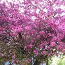 10.05.2020 �� ������� ���� ����������