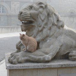 ��������, ������ ��������