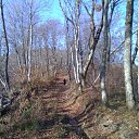 ���� ���������, ���������, 55 ��� - ��������� 19 ���� 2020