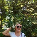 ���� �����, �����-��������� - ��������� 21 ���� 2020 � ������ ���� ����������