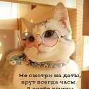 ���� Host, ����, 61 ��� - ��������� 11 ���� 2020 � ������ ������ ��������