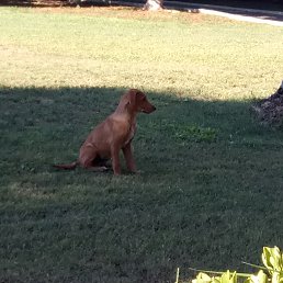 ���� ����, ������, 59 ��� - ��������� 31 ����� 2020