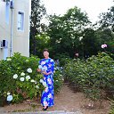 ���� ����, ���� - ��������� 15 ������ 2020 � ������ ���� ����������