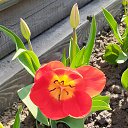 ���� ����������, ����������, 51 ��� - ��������� 10 ��� 2020 � ������ ���� ����������